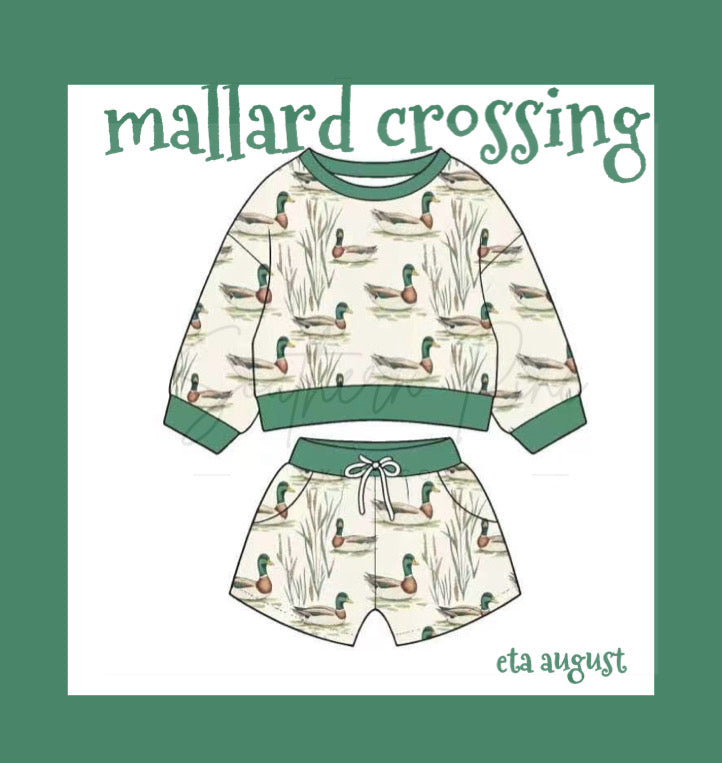 Mallard crossing